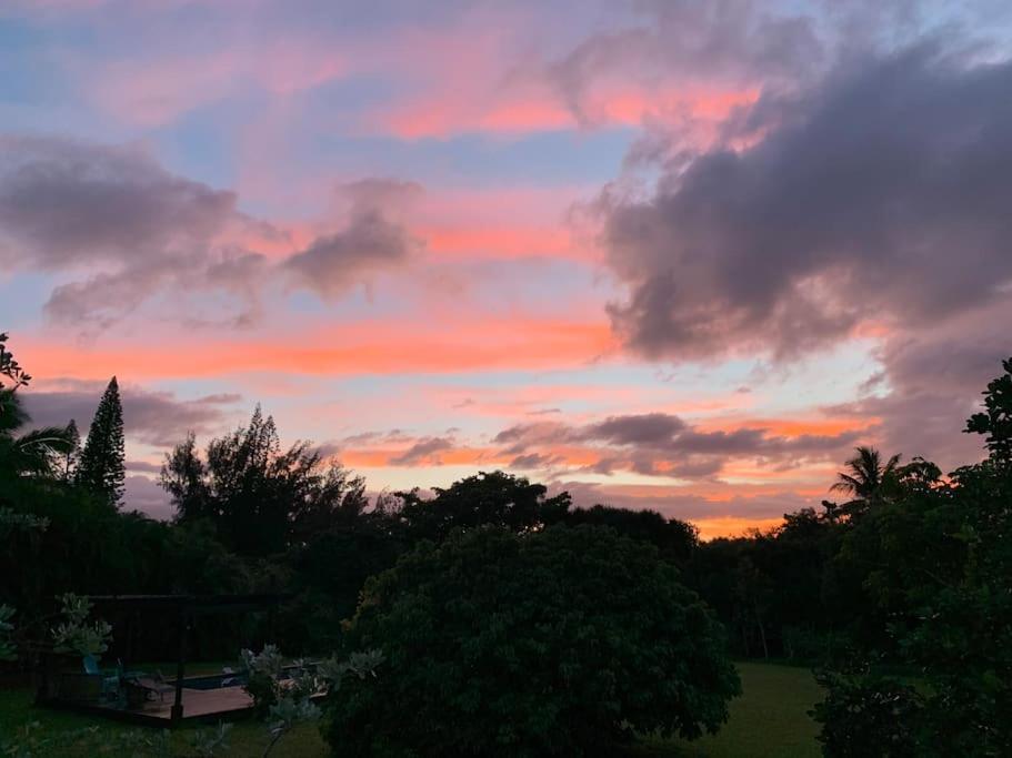 North Shore Garden Studio Haleiwa Exterior foto