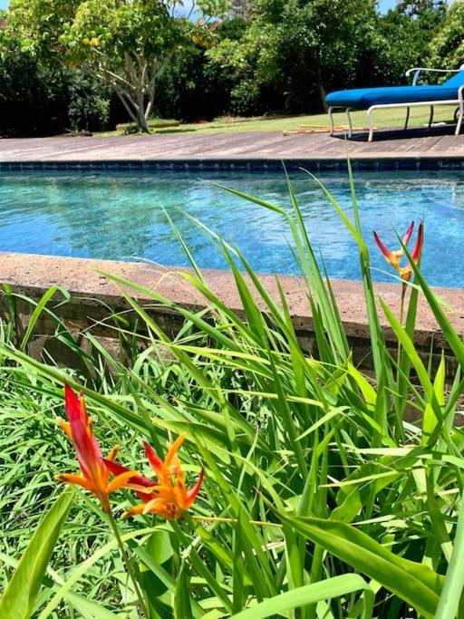 North Shore Garden Studio Haleiwa Exterior foto