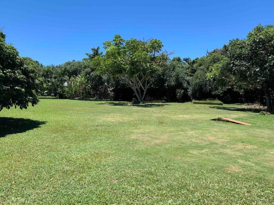 North Shore Garden Studio Haleiwa Exterior foto